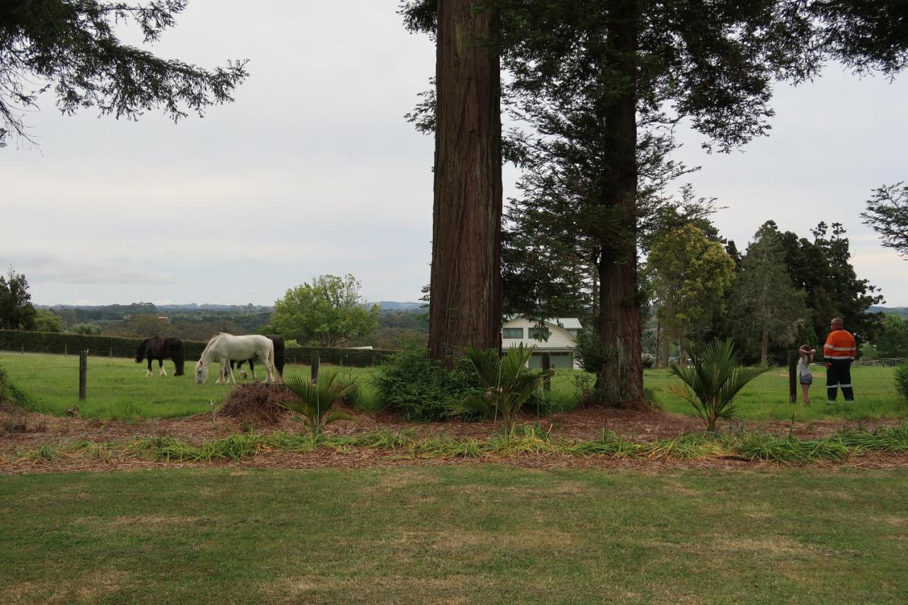 Ferienwohnung Cosy Nights - Modern, Self-Contained With Parking Kerikeri Exterior foto